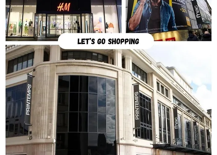 Le Nid De Thiebault - Coeur De - Parking Lejlighed Nancy